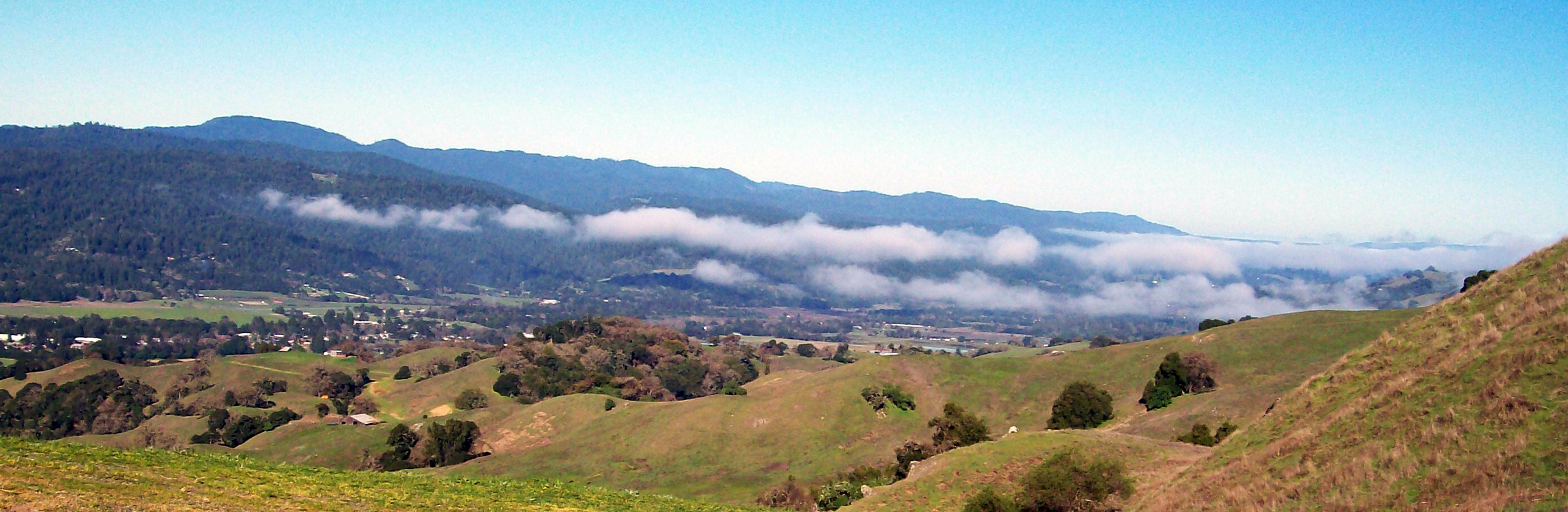 Valley in Fog